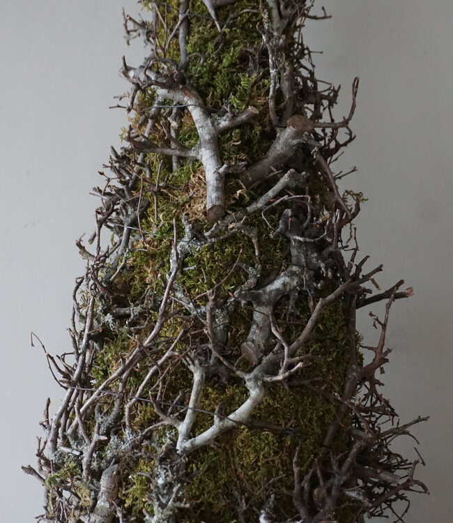 Rene Houtman Kerstboom Mos Met Bonsai | Naturel | H120 cm