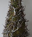 Rene Houtman Kerstboom Mos Met Bonsai | Naturel | H120 cm