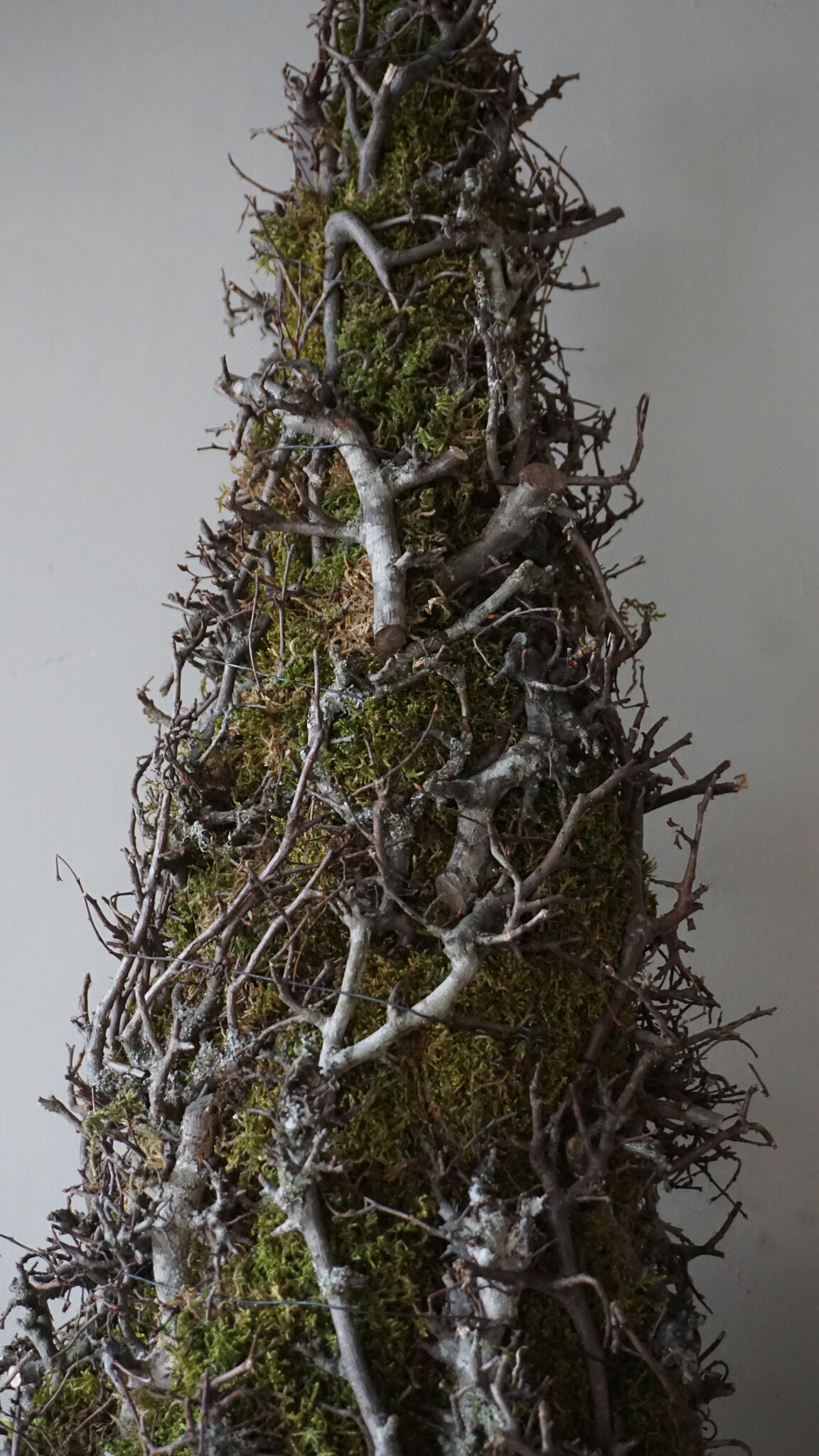 Rene Houtman Kerstboom Mos Met Bonsai | Naturel | H120 cm
