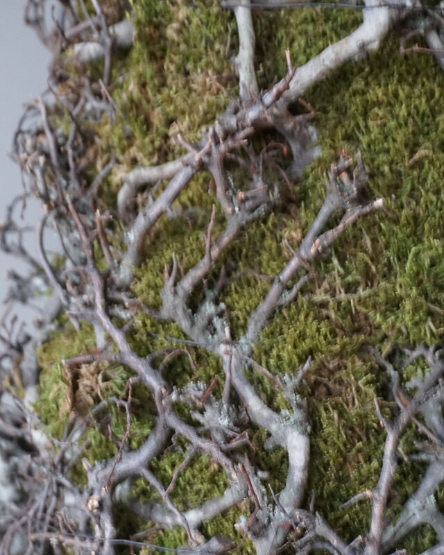 Rene Houtman Kerstboom Mos Met Bonsai | Naturel | H120 cm