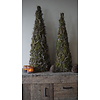 Kerstboom Mos Met Bonsai | Naturel | H90 cm