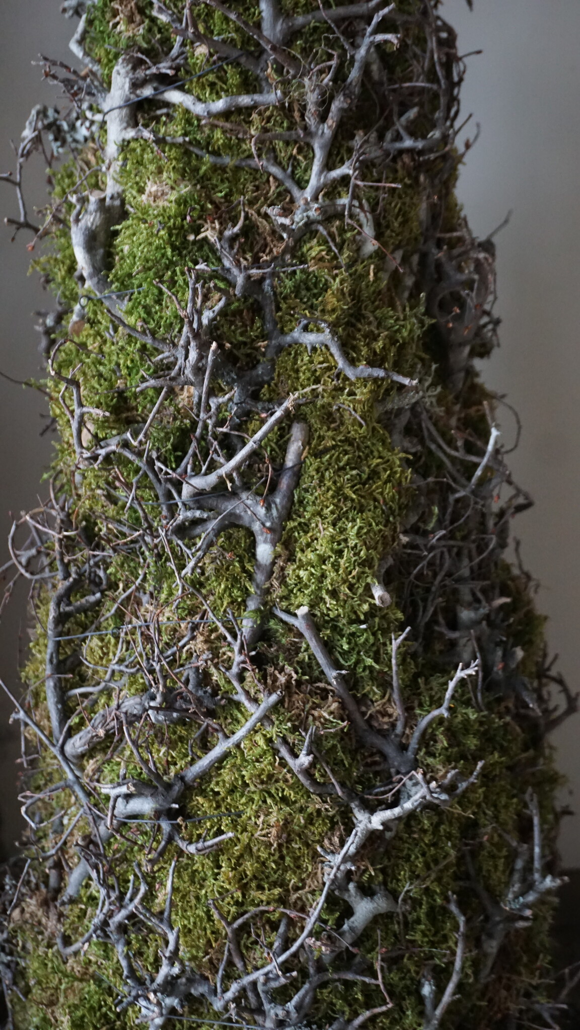 Rene Houtman Kerstboom Mos Met Bonsai | Naturel | H90 cm