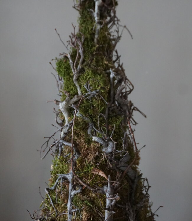 Rene Houtman Kerstboom Mos Met Bonsai | Naturel | H90 cm