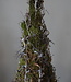 Rene Houtman Kerstboom Mos Met Bonsai | Naturel | H90 cm