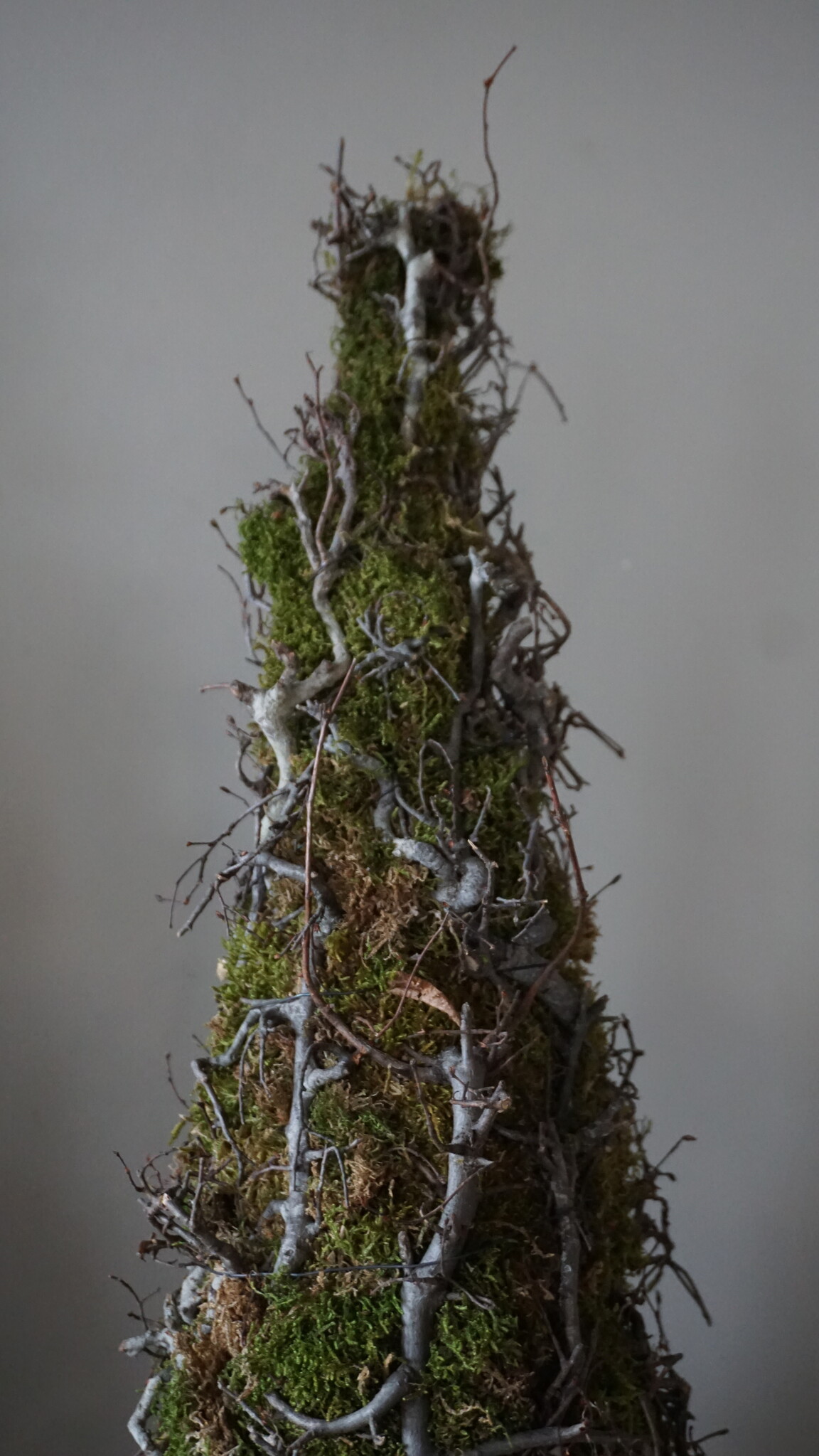 Rene Houtman Kerstboom Mos Met Bonsai | Naturel | H90 cm
