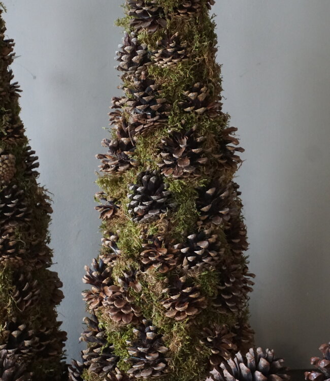 Rene Houtman Kerstboom Mos Met Dennenappels | H65 cm