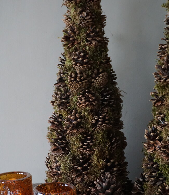 Rene Houtman Kerstboom Mos Met Dennenappels | H65 cm