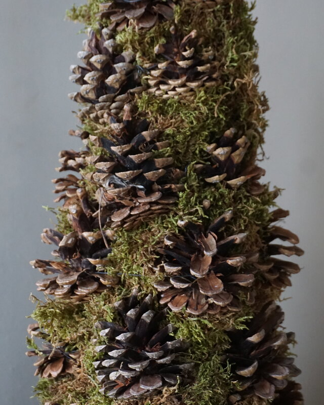 Rene Houtman Kerstboom Mos Met Dennenappels | H65 cm
