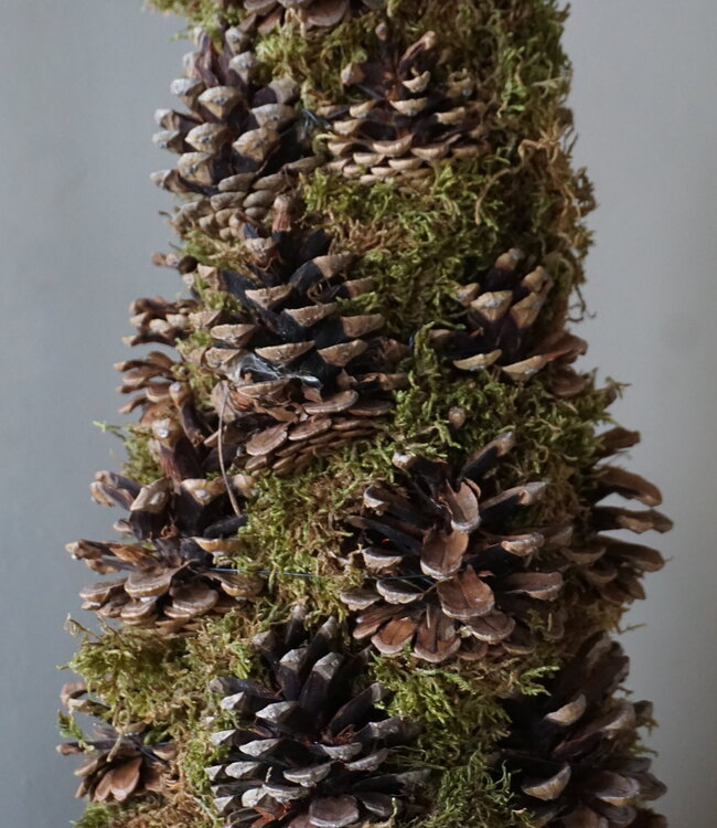 Rene Houtman Kerstboom Mos Met Dennenappels | H65 cm