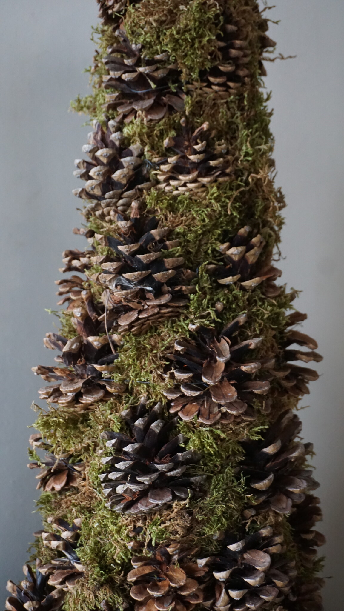 Rene Houtman Kerstboom Mos Met Dennenappels | H65 cm