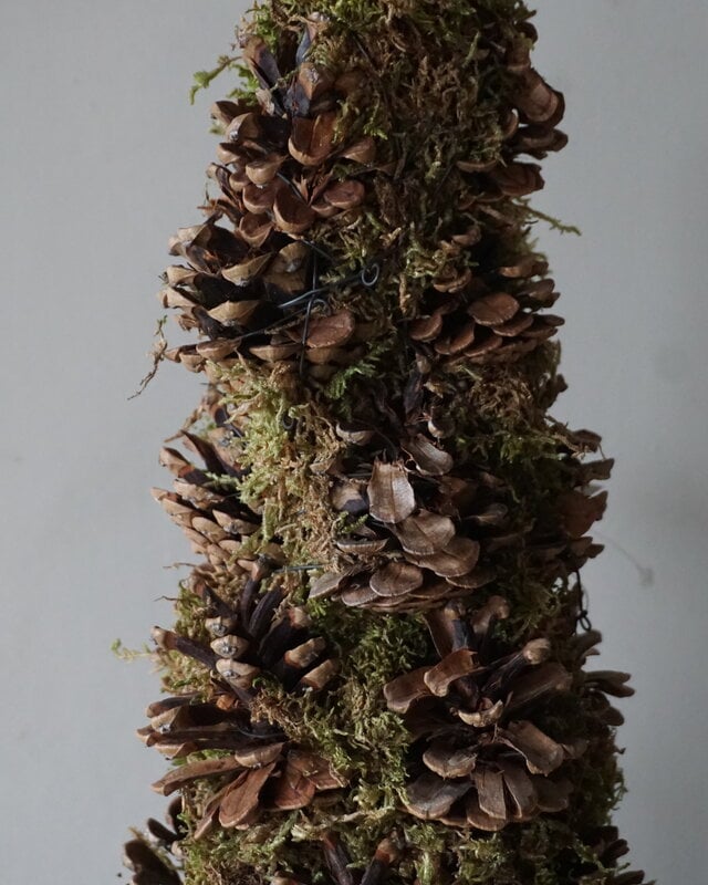 Rene Houtman Kerstboom Mos Met Dennenappels | H65 cm
