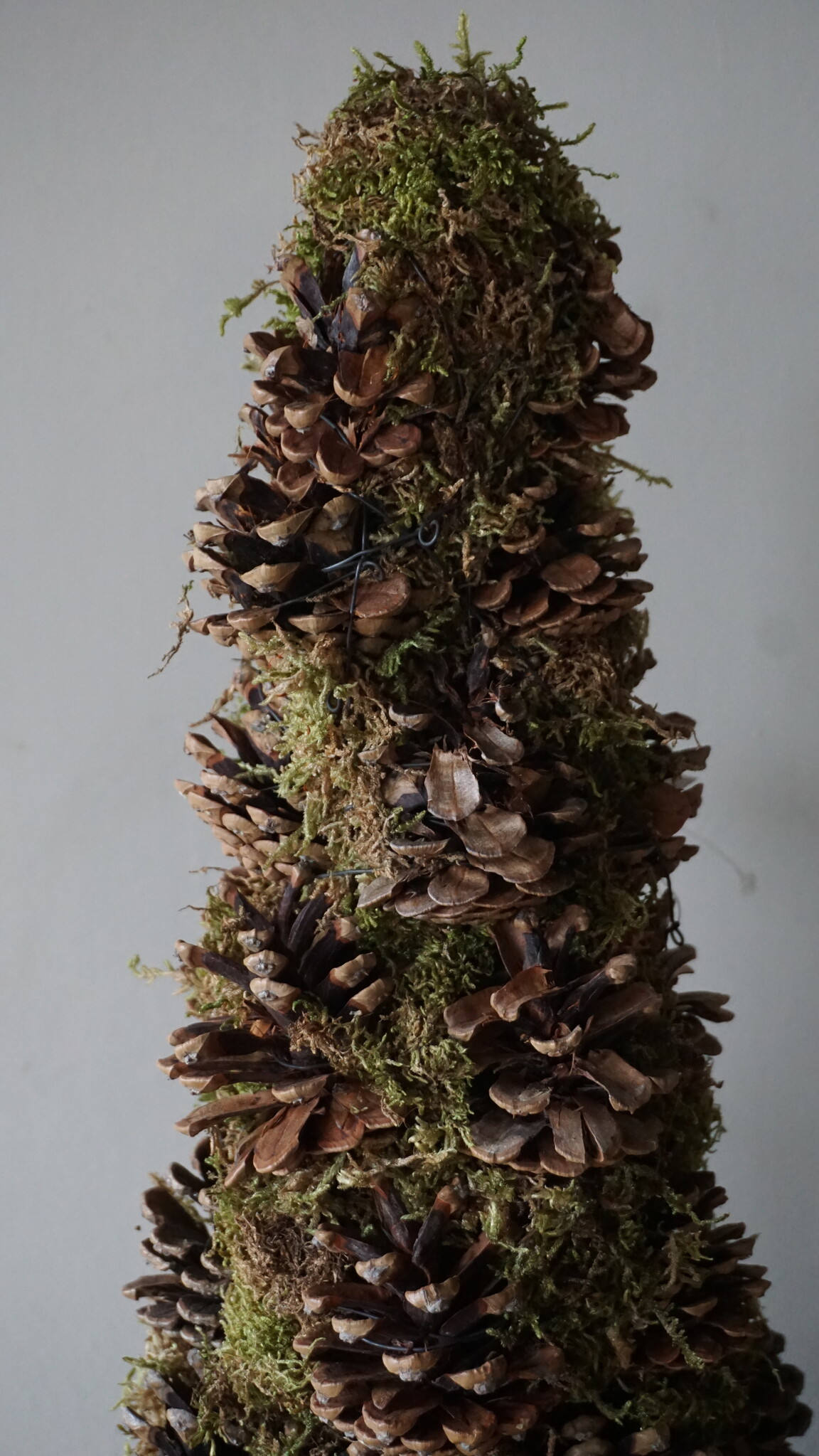 Rene Houtman Kerstboom Mos Met Dennenappels | H65 cm