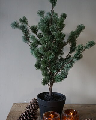 Rene Houtman Larix Boom | Small | Grijsgroen | H80 cm