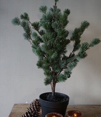 Rene Houtman Larix Boom | Small | Grijsgroen | H80 cm