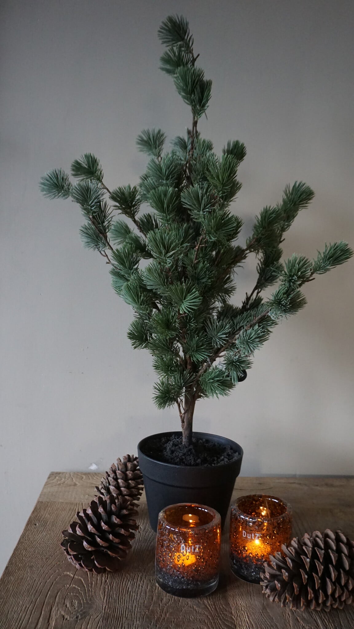 Rene Houtman Larix Boom | Small | Grijsgroen | H80 cm