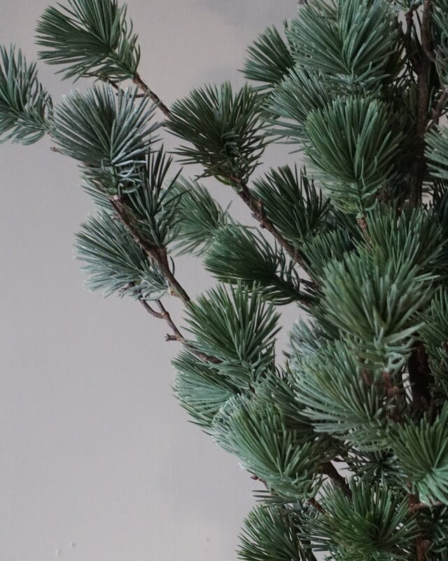 Rene Houtman Larix Boom | Small | Grijsgroen | H80 cm