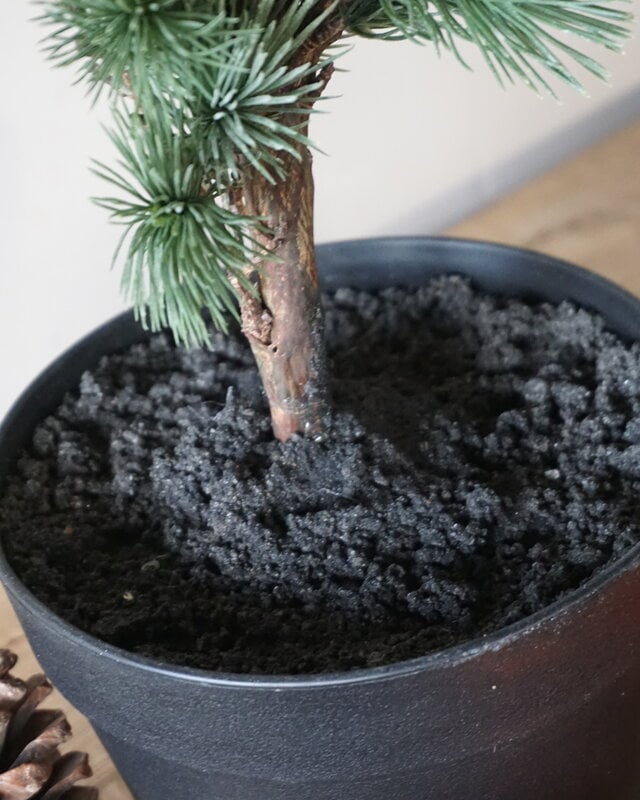 Rene Houtman Larix Boom | Small | Grijsgroen | H80 cm