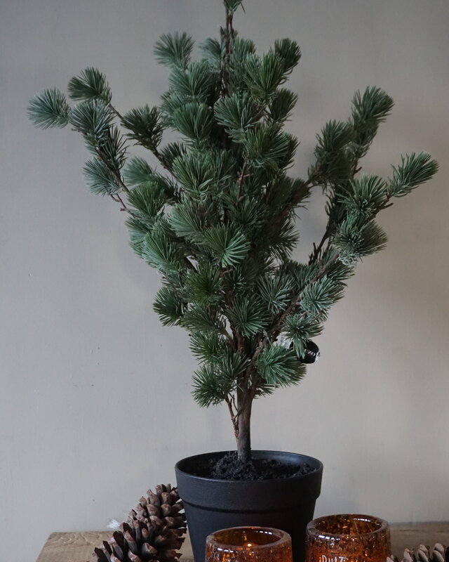 Rene Houtman Larix Boom | Small | Grijsgroen | H80 cm