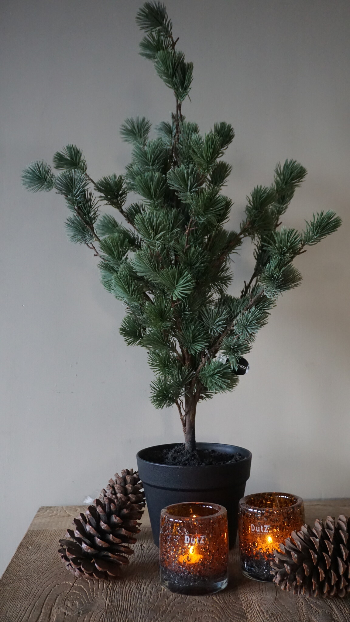 Rene Houtman Larix Boom | Small | Grijsgroen | H80 cm