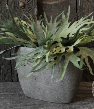 Be-Uniq Pot | Set van 2 | 003 | Elephant Collection | H30 x B44 x D16 cm