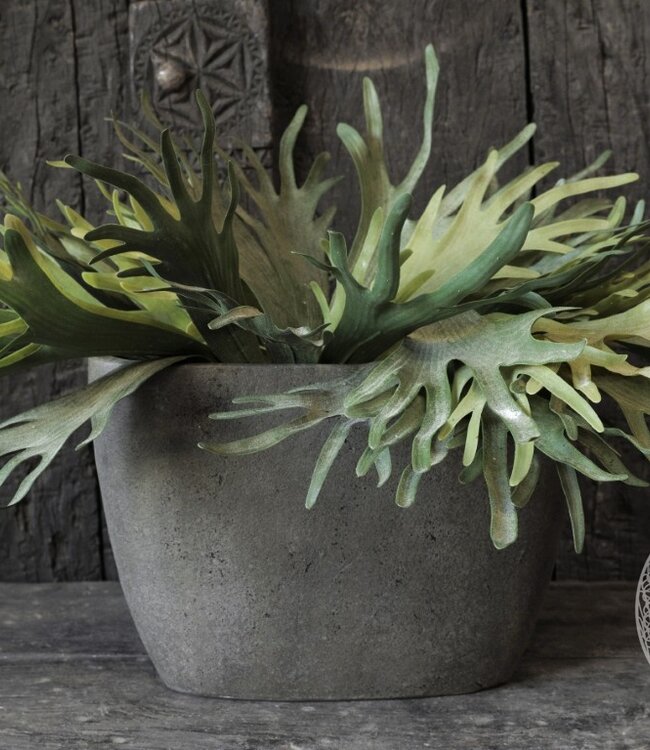 Be-Uniq Pot | Set van 2 | 003 | Elephant Collection | H30 x B44 x D16 cm