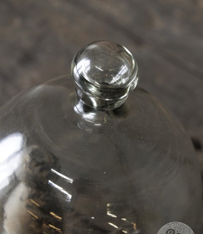 Be-Uniq Glazen Stolp Bo | Zonder Plateau | H30 x D15 cm