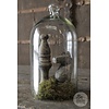 Glazen Stolp Bo | Zonder Plateau | H30 x D15 cm