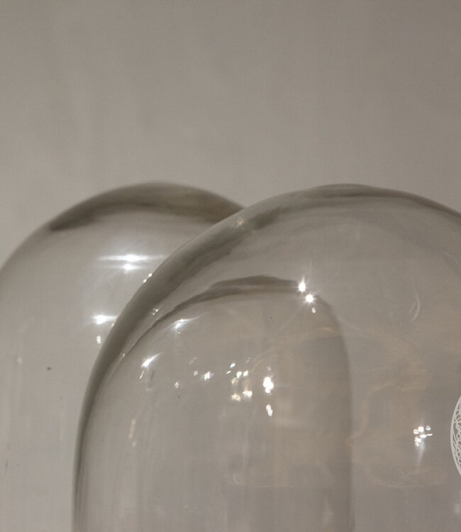 Be-Uniq Glazen Stolp Met Plateau | Vintage Finish | 2 Maten!