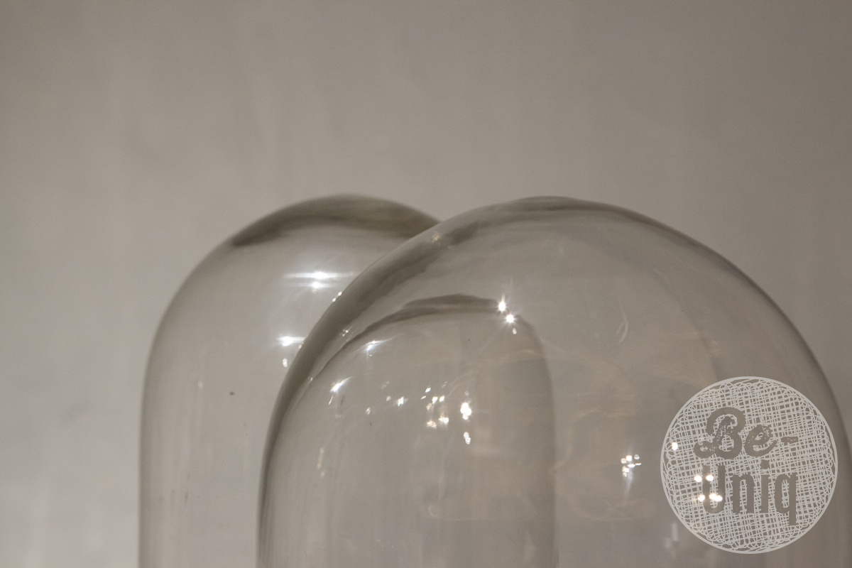 Be-Uniq Glazen Stolp Met Plateau | Vintage Finish | 2 Maten!