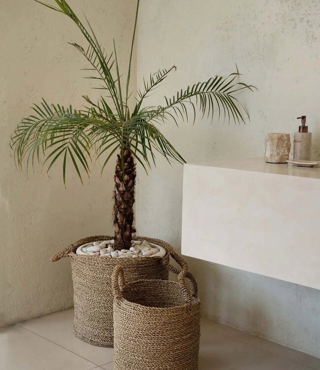 Bazar Bizar Antwerp De Sensity-manden - Naturel - XL