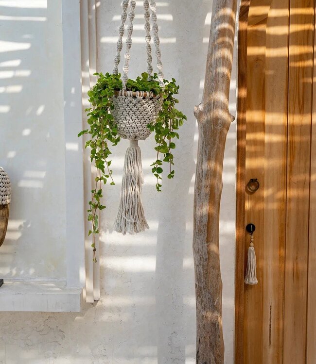 Bazar Bizar Antwerp Het masker van kaurischelpen op standaard - middelgroot