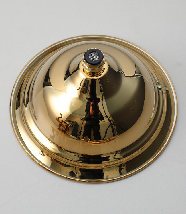 Rene Houtman Regendouche - Nostalgisch - Goud