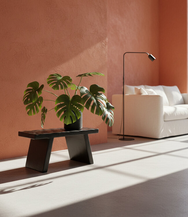 Raw Materials Amsterdam Bijzettafel | Mangohout | Zwart | B25 x H20 x L40 cm