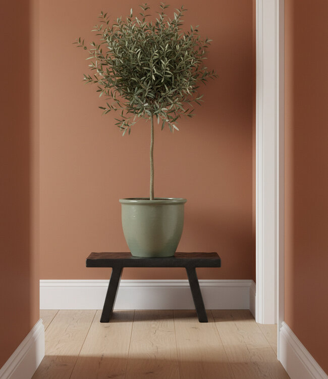 Raw Materials Amsterdam Bijzettafel | Mangohout | Zwart | B25 x H20 x L40 cm