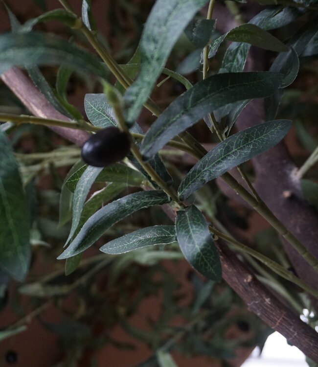 Rene Houtman Kunst Olijfboom | Hout | H310 cm