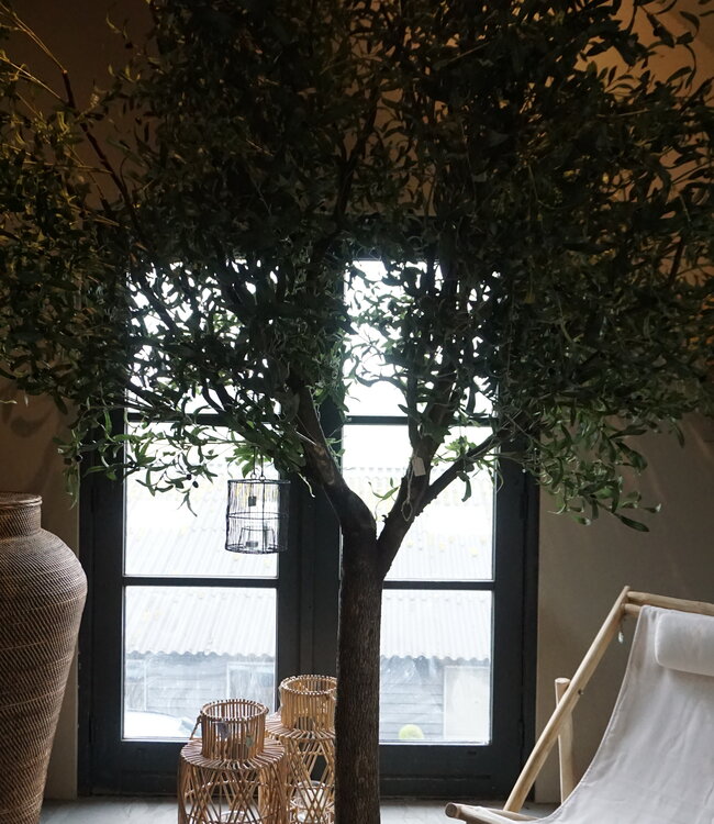 Rene Houtman Kunst Olijfboom | Hout | H310 cm