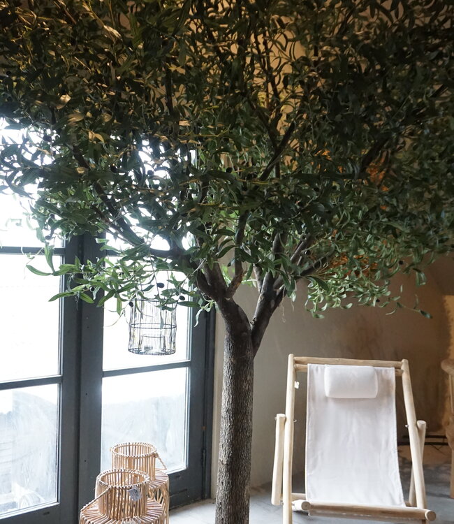 Rene Houtman Kunst Olijfboom | Hout | H310 cm