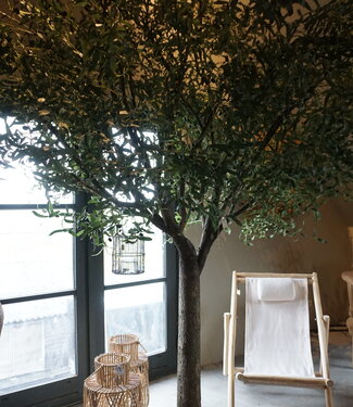 Rene Houtman Kunst Olijfboom | Hout | H310 cm