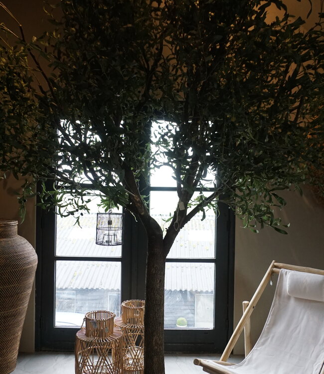 Rene Houtman Kunst Olijfboom | Hout | H310 cm