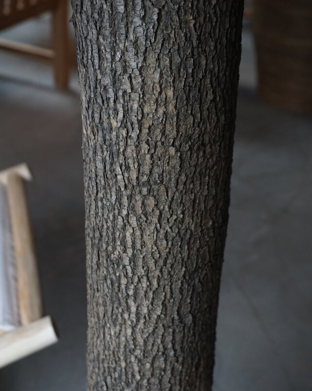 Rene Houtman Kunst Olijfboom | Hout | H310 cm