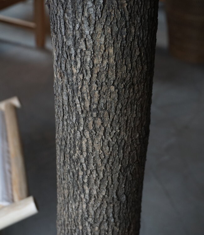 Rene Houtman Kunst Olijfboom | Hout | H310 cm