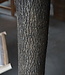 Rene Houtman Kunst Olijfboom | Hout | H310 cm