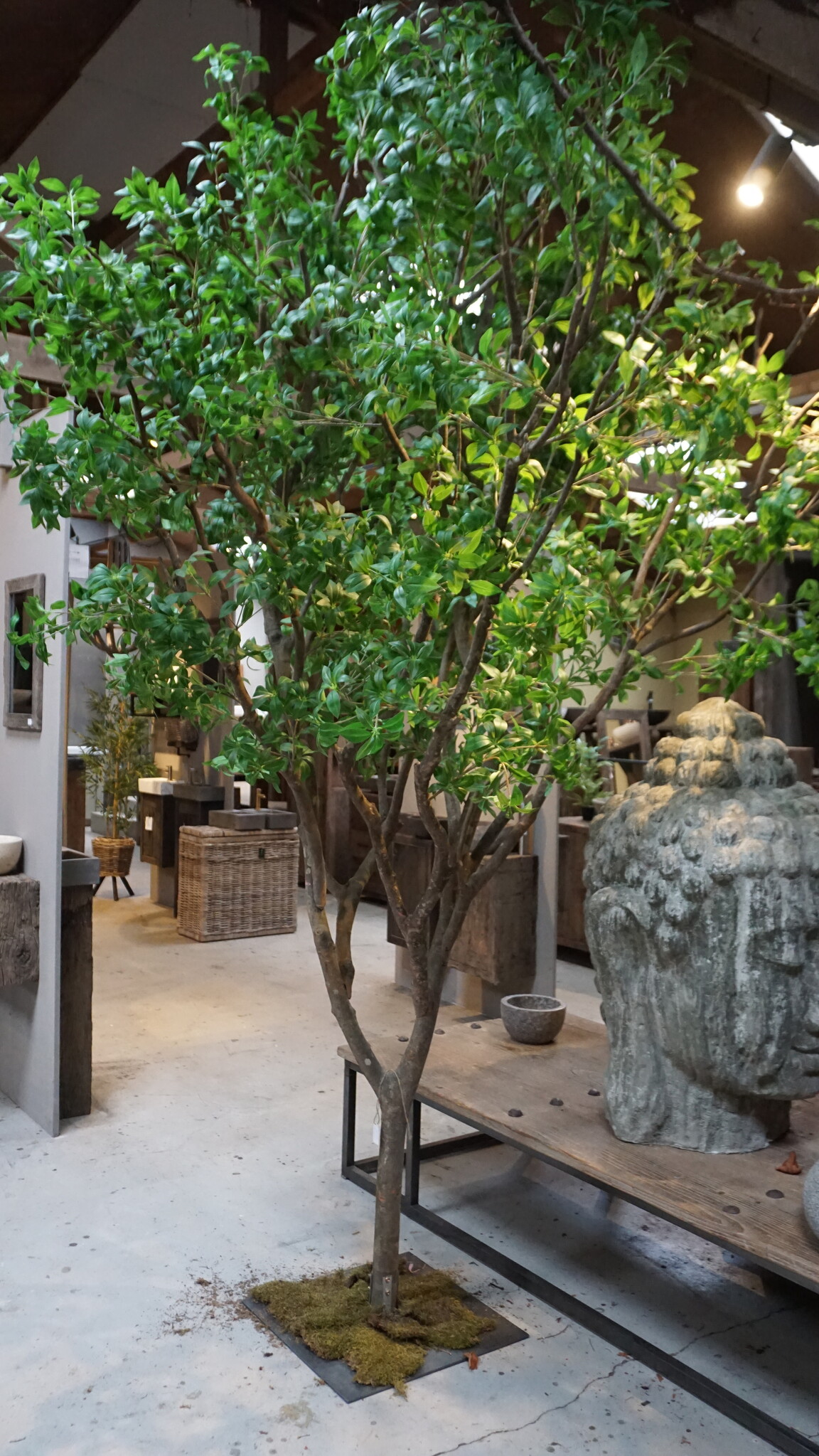 Rene Houtman Kunst Boom Enkianthus | H300 cm