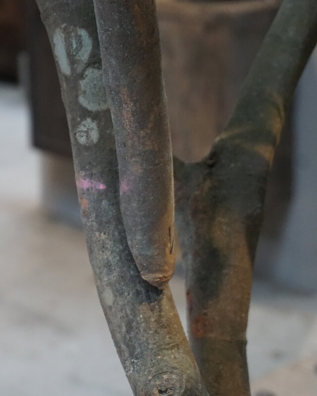 Rene Houtman Kunst Boom Enkianthus | H300 cm