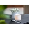 Cilinder | Wit Bubbels | 2 Maten