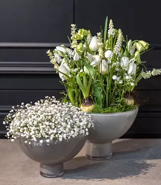 DutZ Schaal Andreas | Taupe 2.0 | 2 Maten