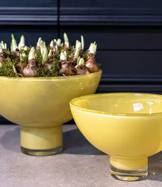 DutZ Schaal Andreas | Okergeel | 2 Maten