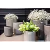 Pot Petra | Taupe | 3 Maten!