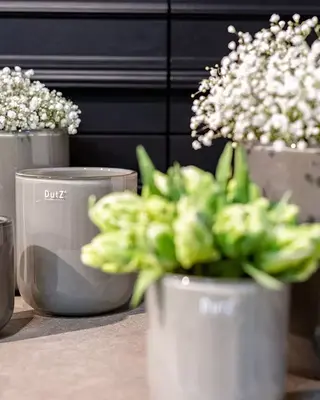DutZ Pot Petra | Taupe | 3 Maten!