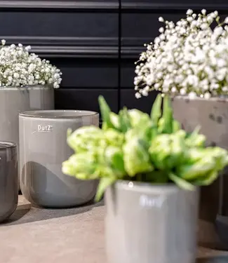 DutZ Pot Petra | Taupe | 3 Maten!